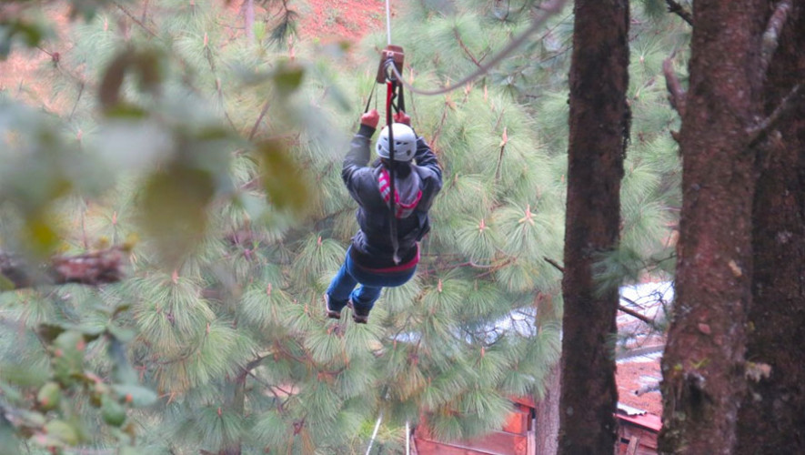 Canopy