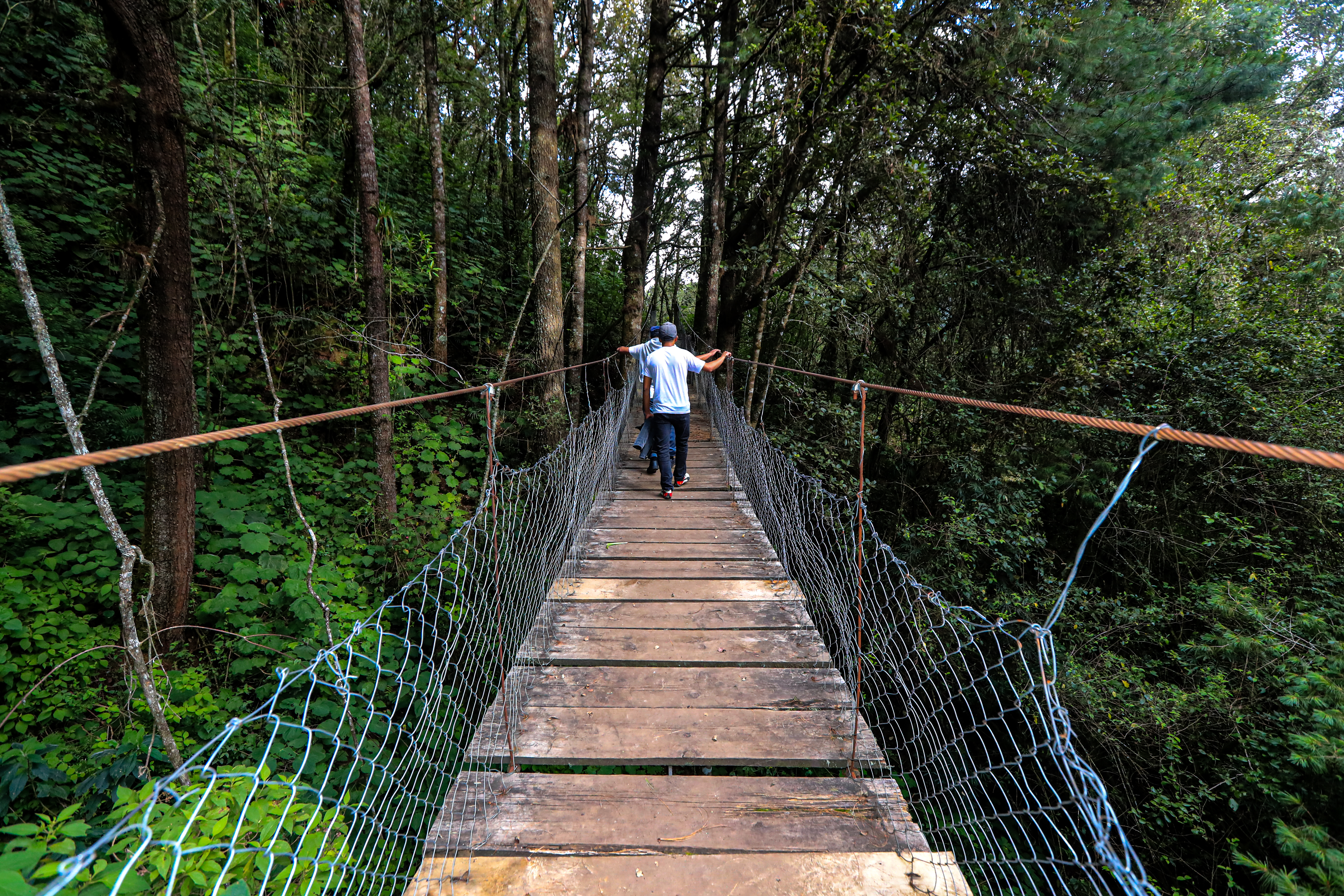 Puentes Colgantes