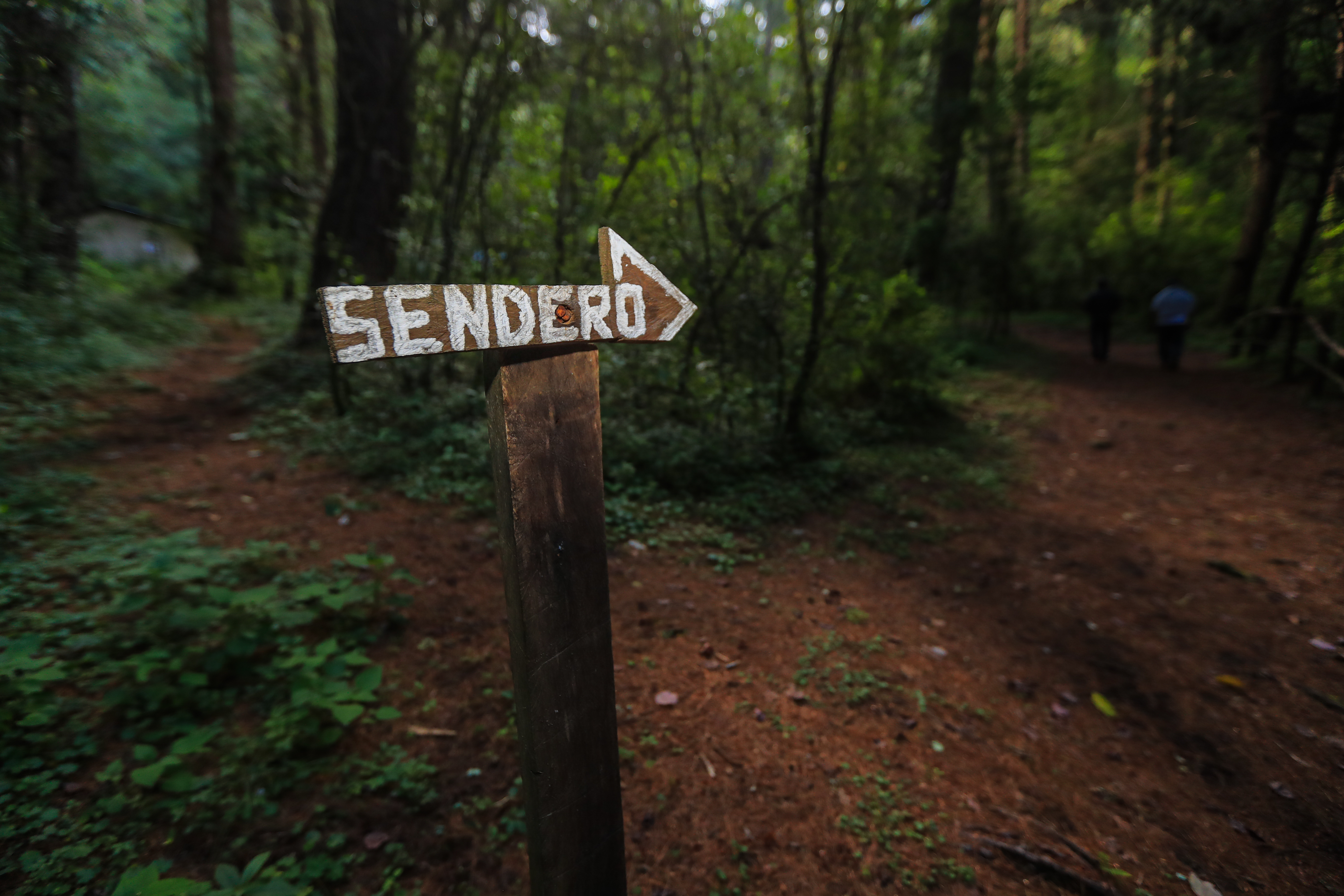 Senderismo